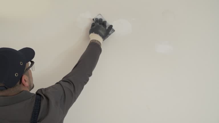 Best Ceiling Drywall Installation  in Rantoul, IL